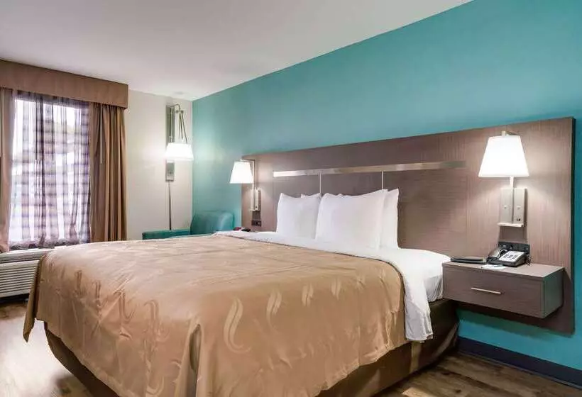 酒店 Quality Inn Greenville Near University