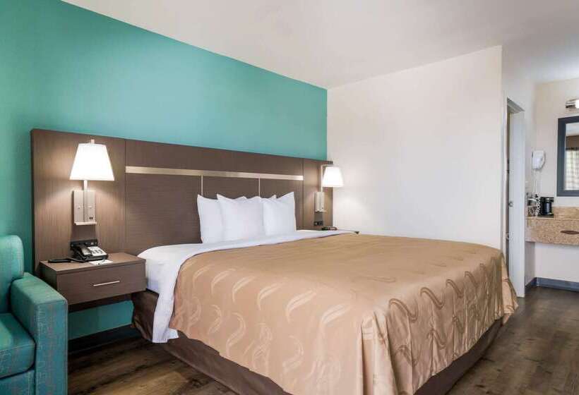 酒店 Quality Inn Greenville Near University