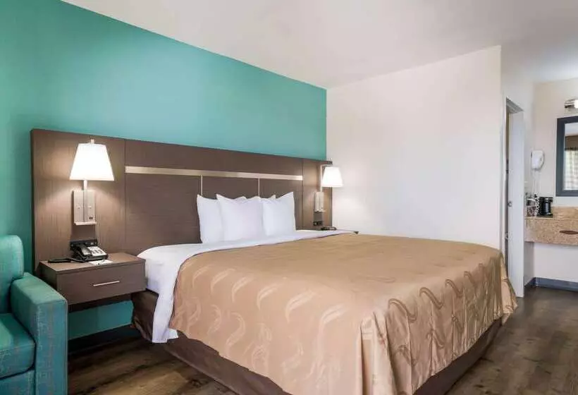 酒店 Quality Inn Greenville Near University