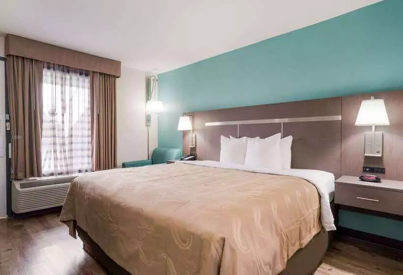 酒店 Quality Inn Greenville Near University