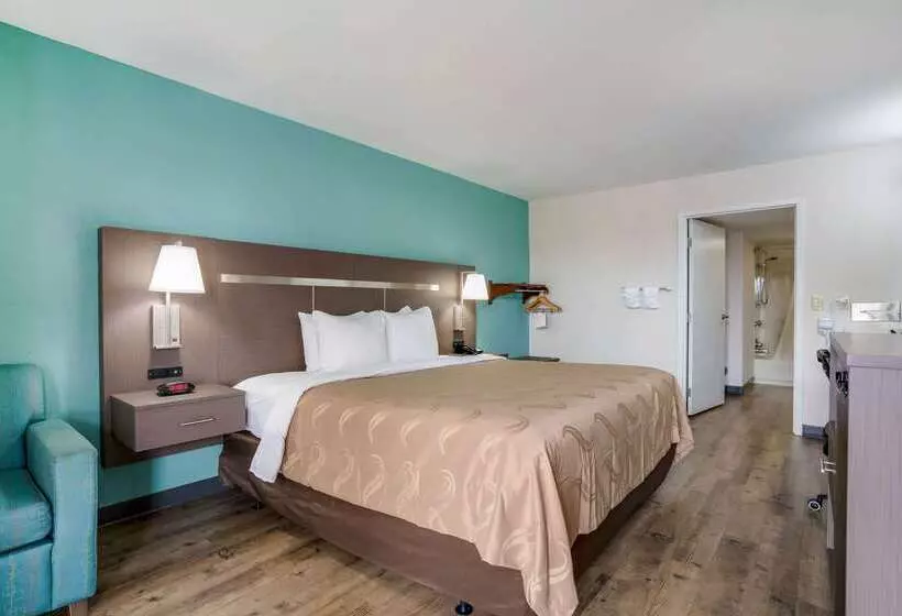 酒店 Quality Inn Greenville Near University