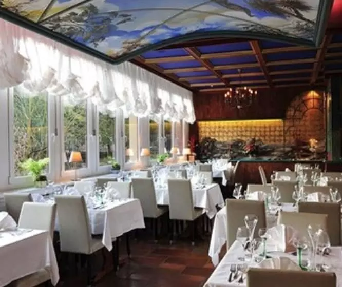 Отель Hôtel Du Parc, Restaurant, Spa & Wellness