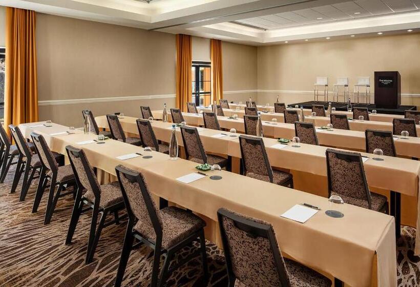 فندق The Westin Lake Las Vegas Resort & Spa