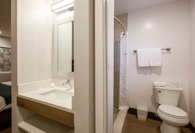 Motel 6 Williams Az Downtown Grand Canyon