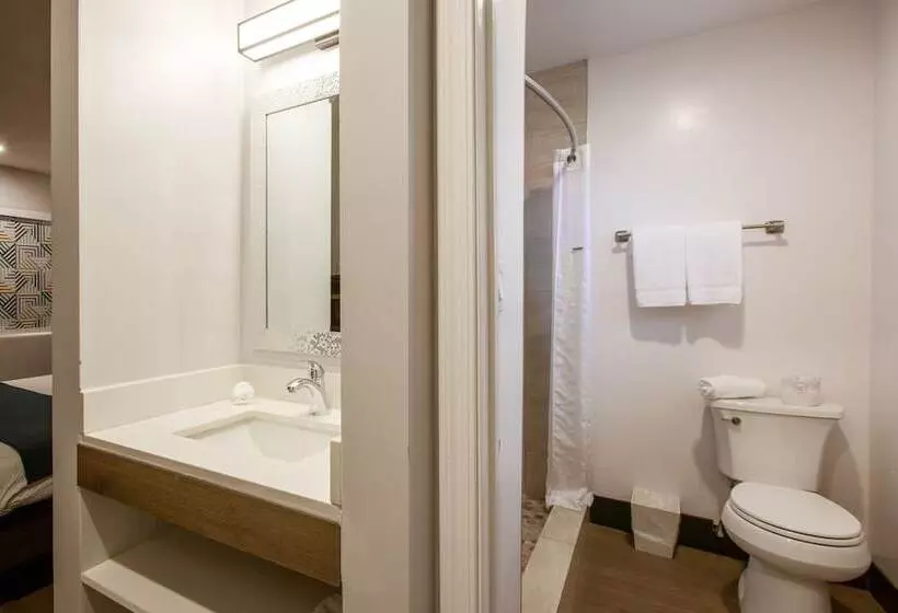 Motel 6 Williams Az Downtown Grand Canyon