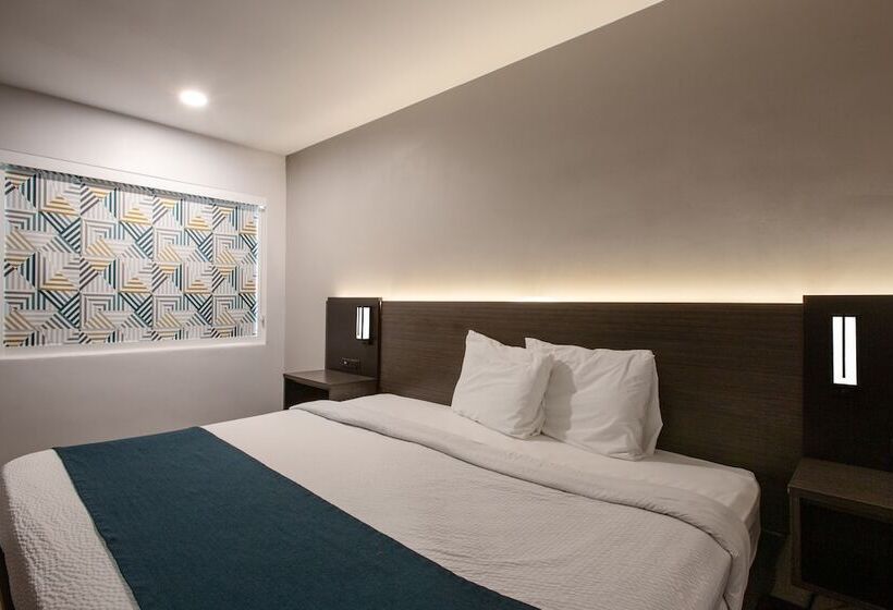 Motel 6 Williams Az Downtown Grand Canyon