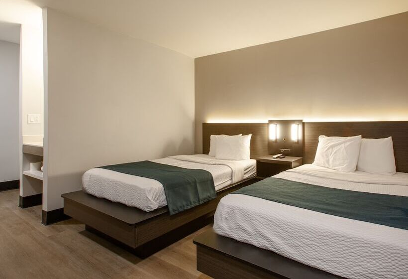 Motel 6 Williams Az Downtown Grand Canyon