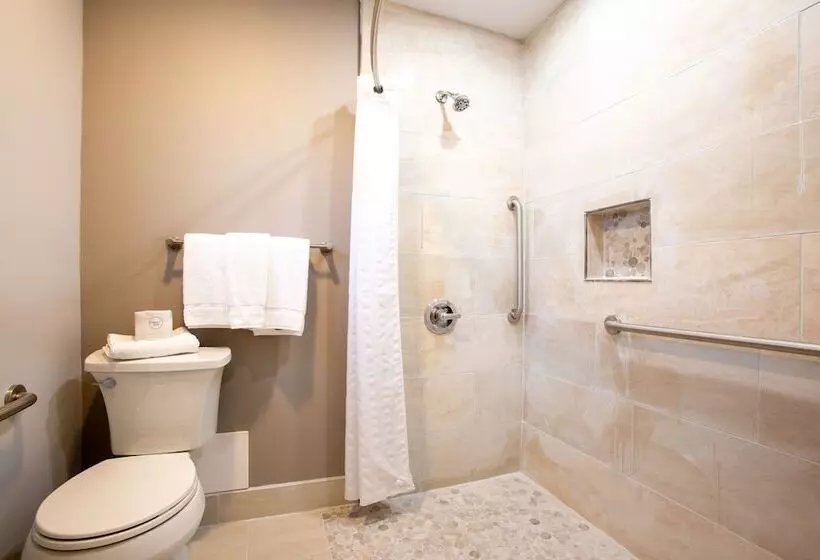 Motel 6 Williams Az Downtown Grand Canyon