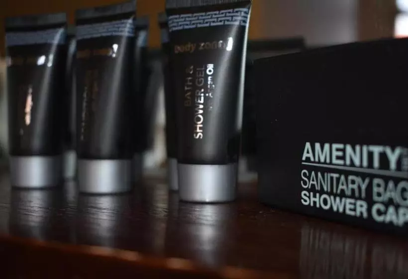 Отель Ansonia On Lydiard