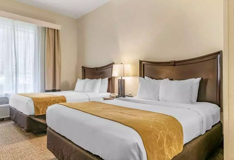 هتل Comfort Suites Maingate East