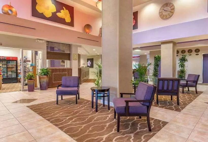 هتل Comfort Suites Maingate East