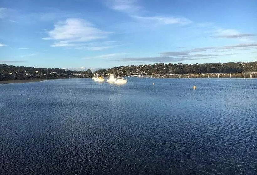 ホテル Sapphire Waters Motor Inn