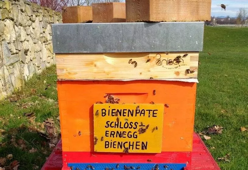 호텔 Schloss Ernegg