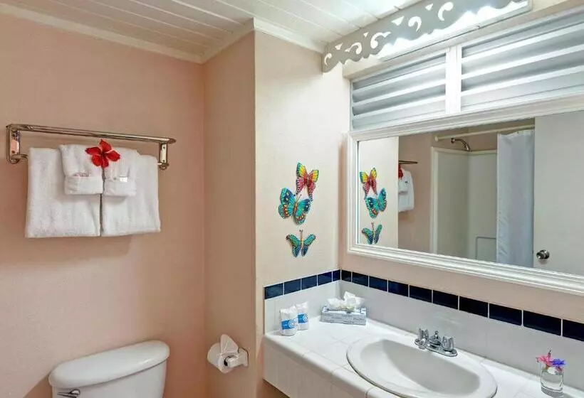 استراحتگاه Butterfly Beach