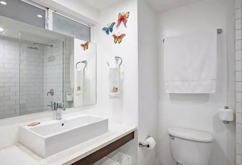 استراحتگاه Butterfly Beach