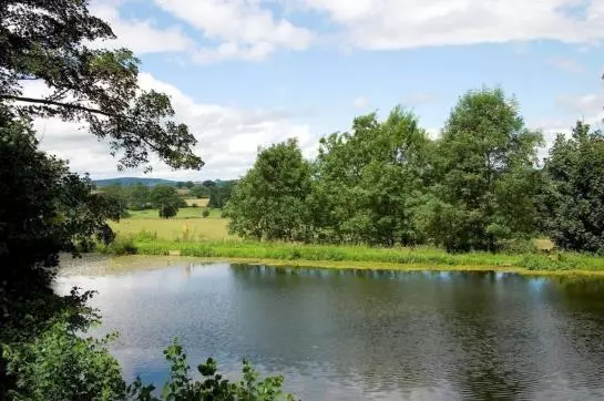 ホテル Brooks County House