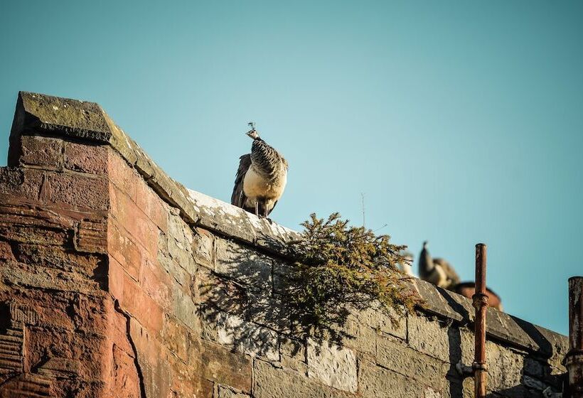 Ruthin Castle Hotel And Spa