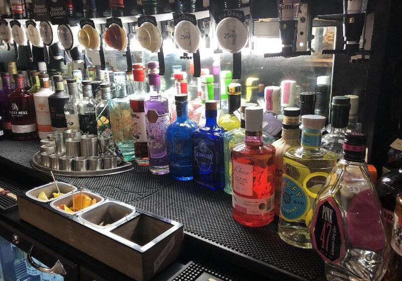 فندق The Dog & Partridge Country Inn