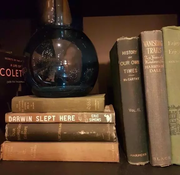 Hotelli The Fox Club London