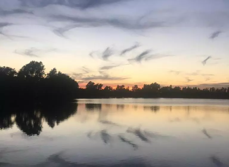 בית מלון כפרי The Lion