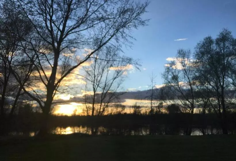 בית מלון כפרי The Lion