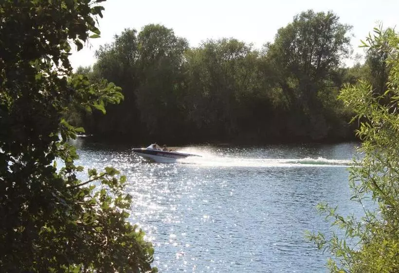 בית מלון כפרי The Lion