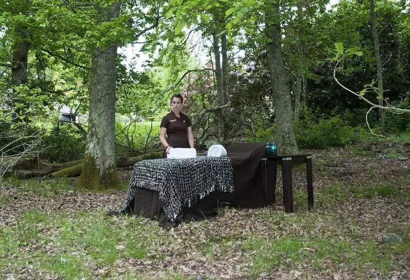 酒店 Rhinefield House