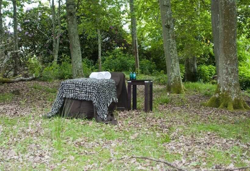 호텔 Rhinefield House