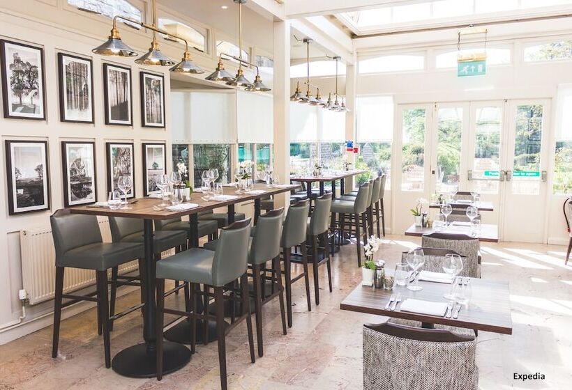 호텔 Rhinefield House