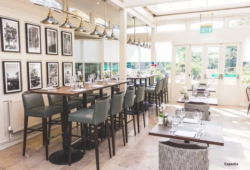 酒店 Rhinefield House