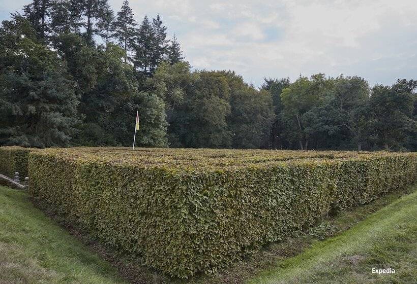 호텔 Rhinefield House