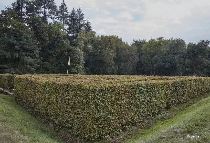 酒店 Rhinefield House