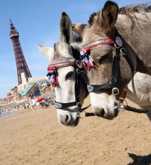 The Savoy Hotel Adults Only