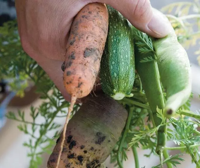 فندق Woolley Grange   A Luxury Family