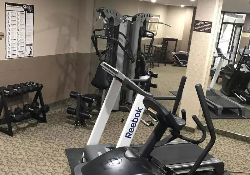 فندق Argyll Plaza