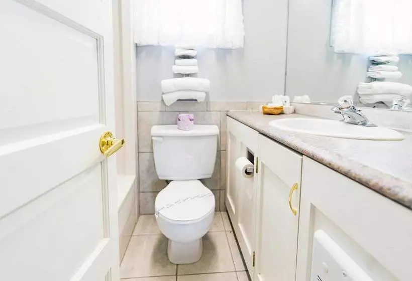 酒店 Auberge Harris