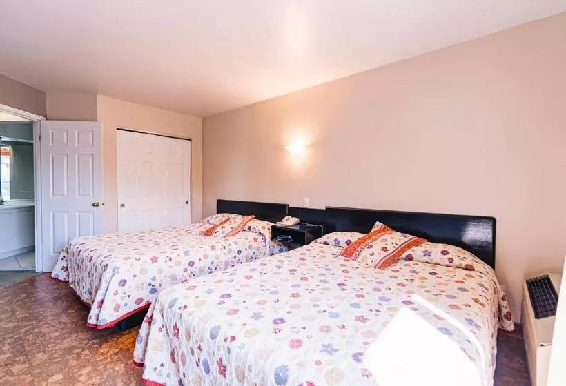 酒店 Auberge Harris