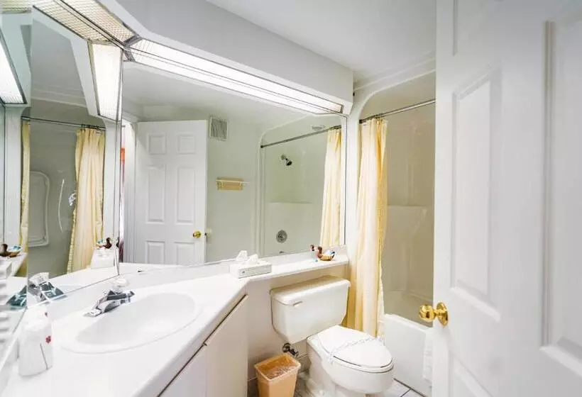 酒店 Auberge Harris