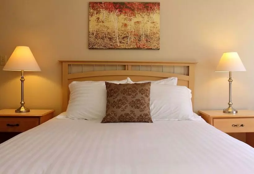 酒店 Bluenose Lodge