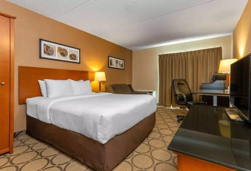 ホテル Comfort Inn