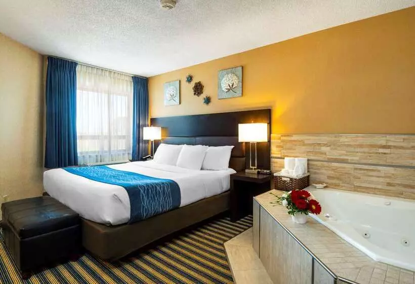 Отель Comfort Inn