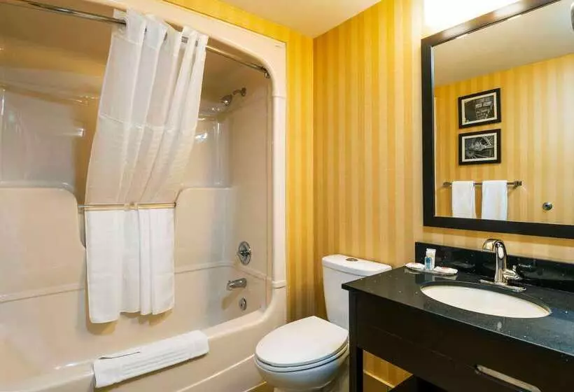 Отель Comfort Inn