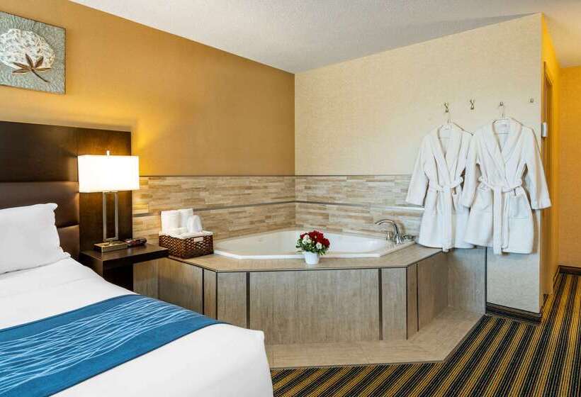 ホテル Comfort Inn