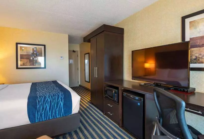 Отель Comfort Inn