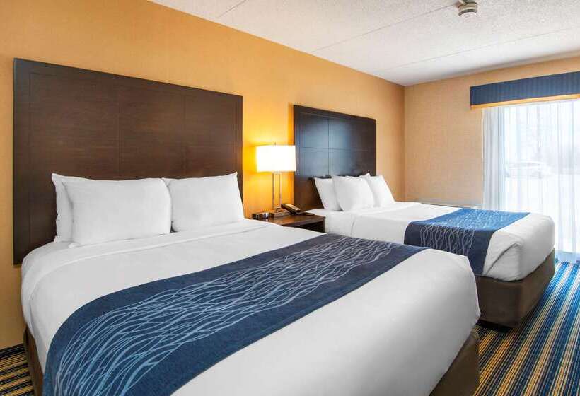 ホテル Comfort Inn