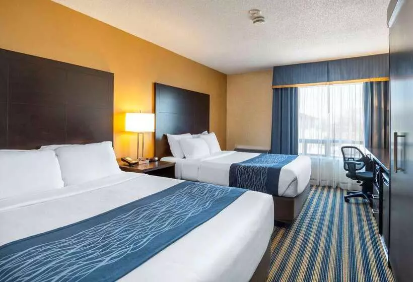 Отель Comfort Inn