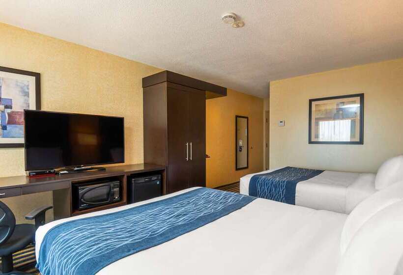 ホテル Comfort Inn