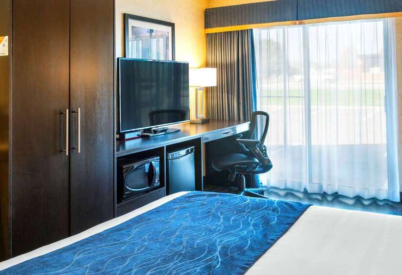 ホテル Comfort Inn