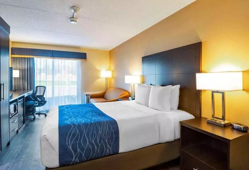 Отель Comfort Inn