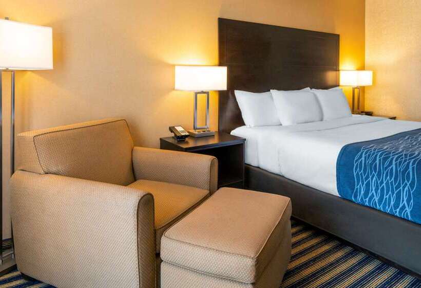 ホテル Comfort Inn